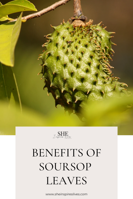 Benefits of Soursop leaves